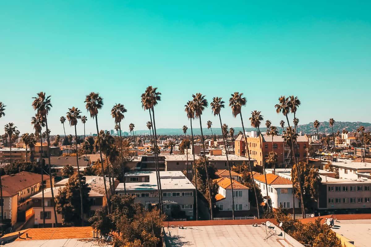 Los Angeles skyline with palm trees, representing steps on how to get a health permit for restaurants in Los Angeles.